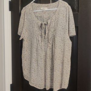 Like-new Ann Taylor Loft sheer blouse